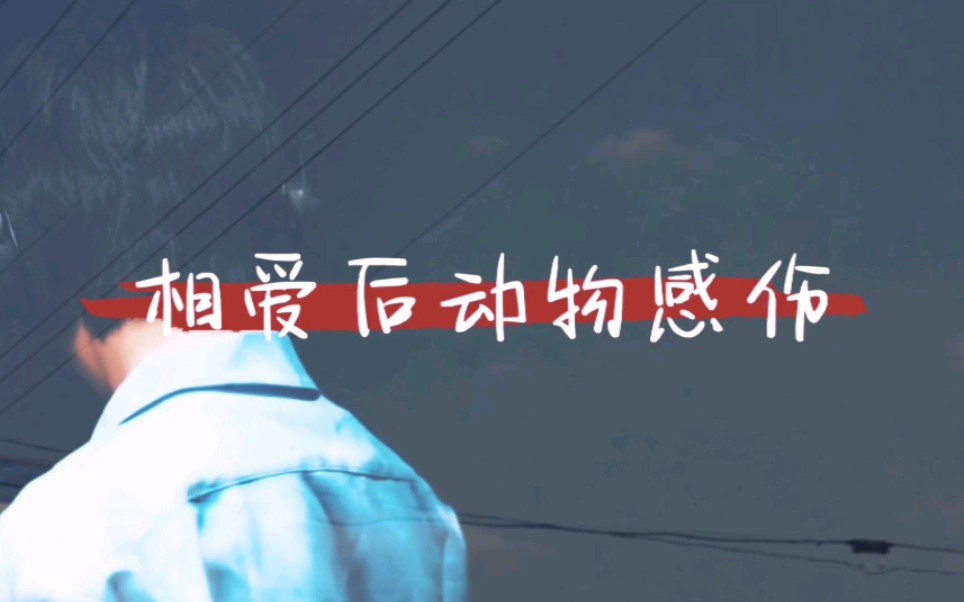 林墨相爱后动物感伤