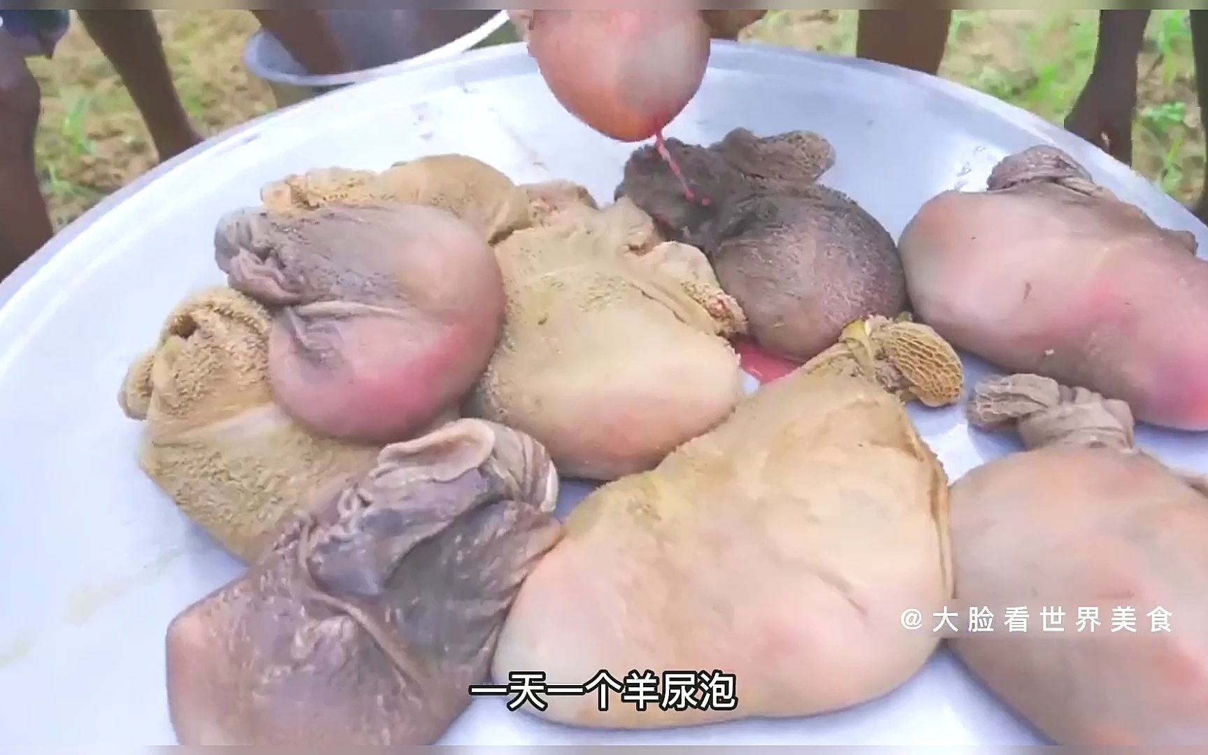 三哥回村吃饭,羊尿泡手抓饭2.0版,一致受到全村好评