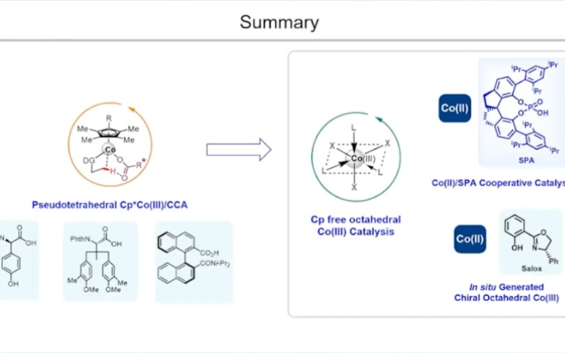 【讲座回放】史炳锋教授 报告题目:钴催化不对称碳氢键活化哔哩哔哩bilibili