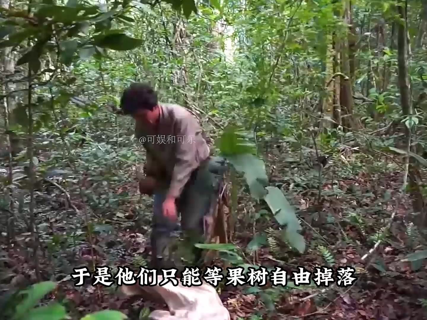 鲍鱼果的营养价值虽然很高,但漫天要价肯定会丢掉市场,美食推荐哔哩哔哩bilibili