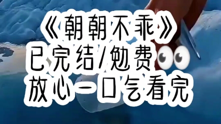 朝朝不乖哔哩哔哩bilibili