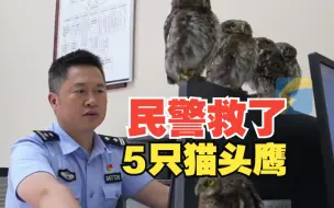 Video herunterladen: 民警救了5只猫头鹰解锁“小挂件” 排排站陪熬夜值班