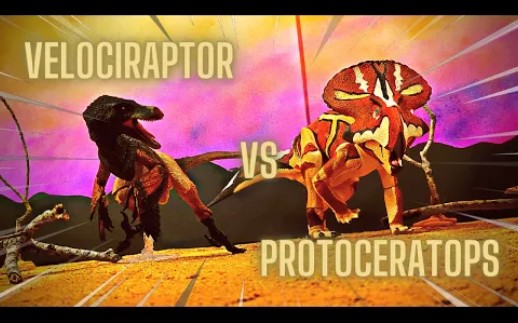 【定格动画】伶盗龙大战原角龙