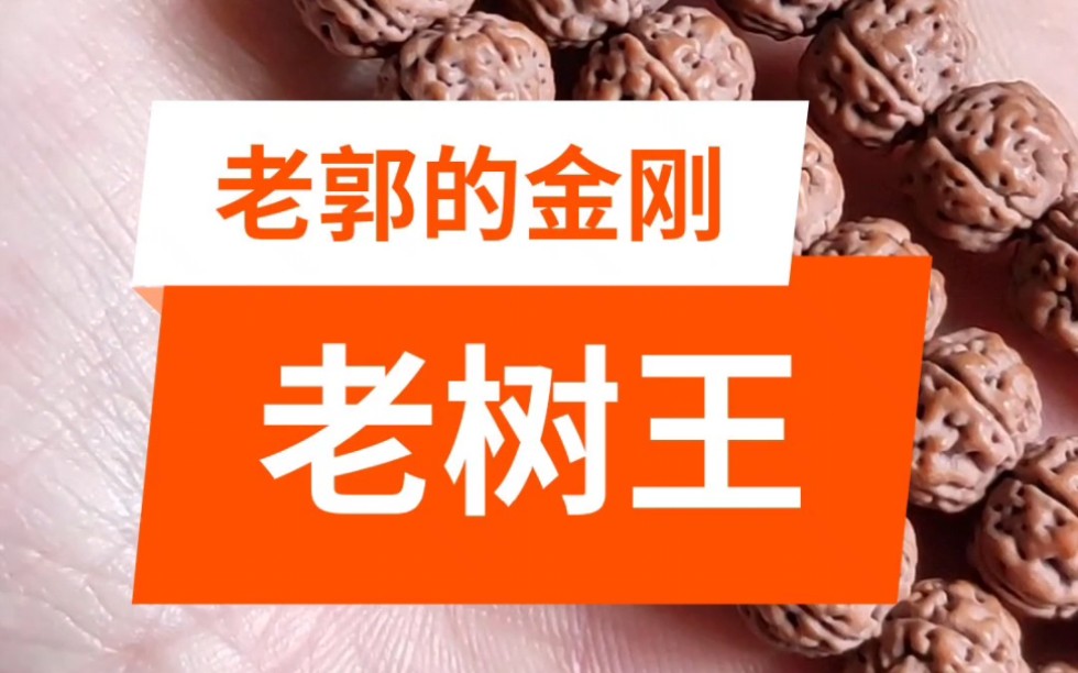 小金刚菩提佛珠手串之老树王哔哩哔哩bilibili