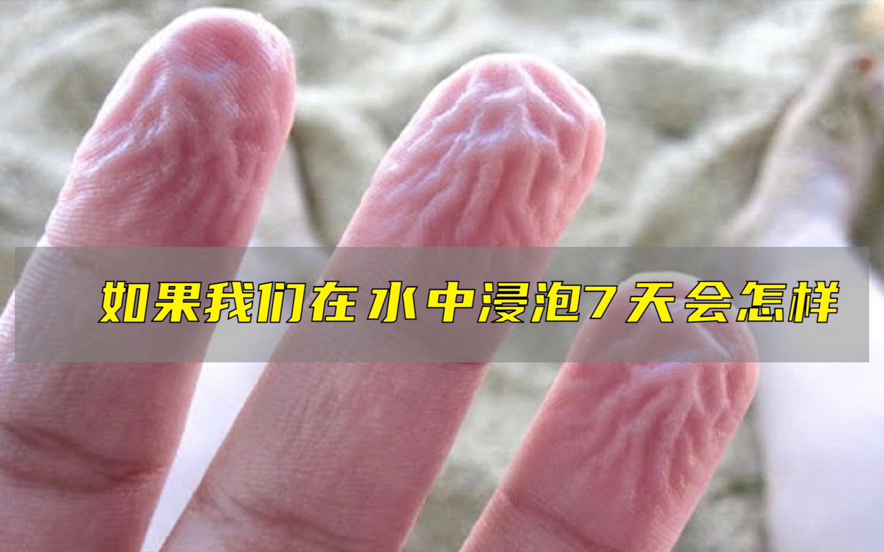 如果我们在水中浸泡7天会怎么样?后果你可能无法想象哔哩哔哩bilibili