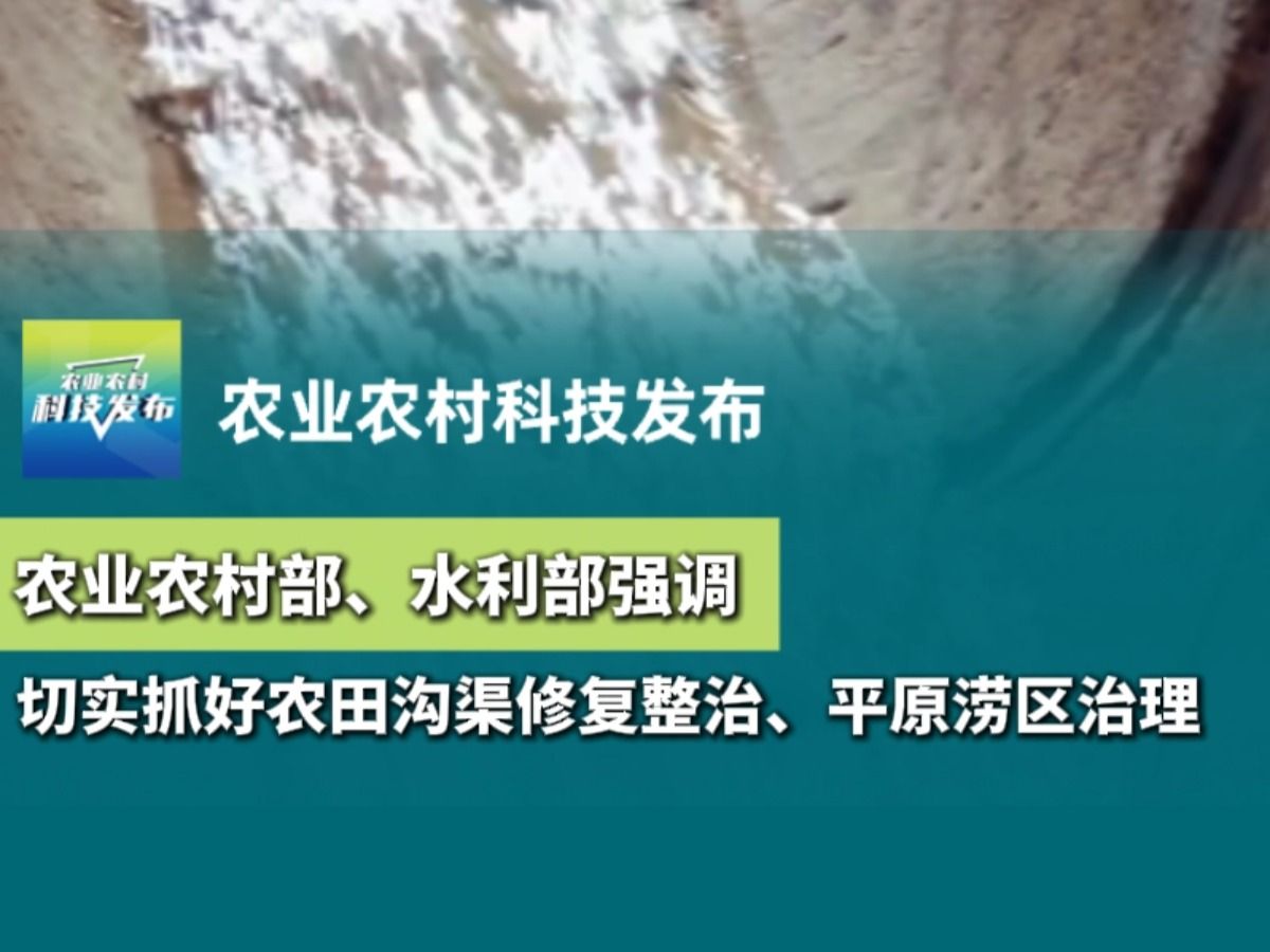 农业农村部、水利部强调切实抓好农田沟渠修复整治、平原涝区治理哔哩哔哩bilibili