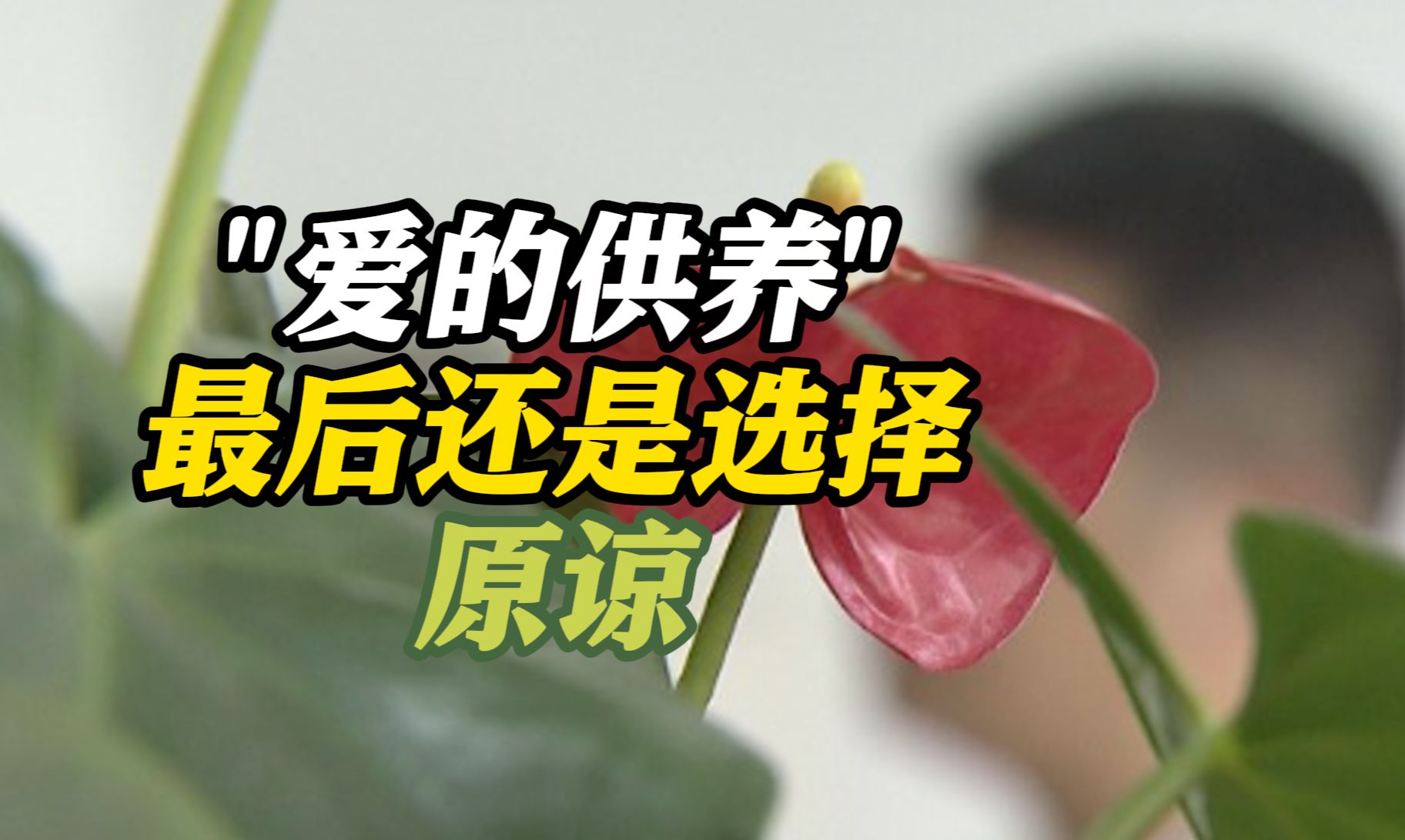 上海一大龄宅男供养女友和其老公一家5年 被骗200万还选择原谅