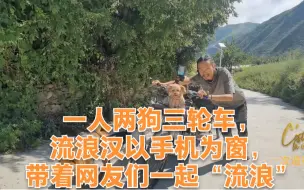 Descargar video: 一人两狗三轮车，流浪汉以手机为窗，带着网友们一起“流浪”