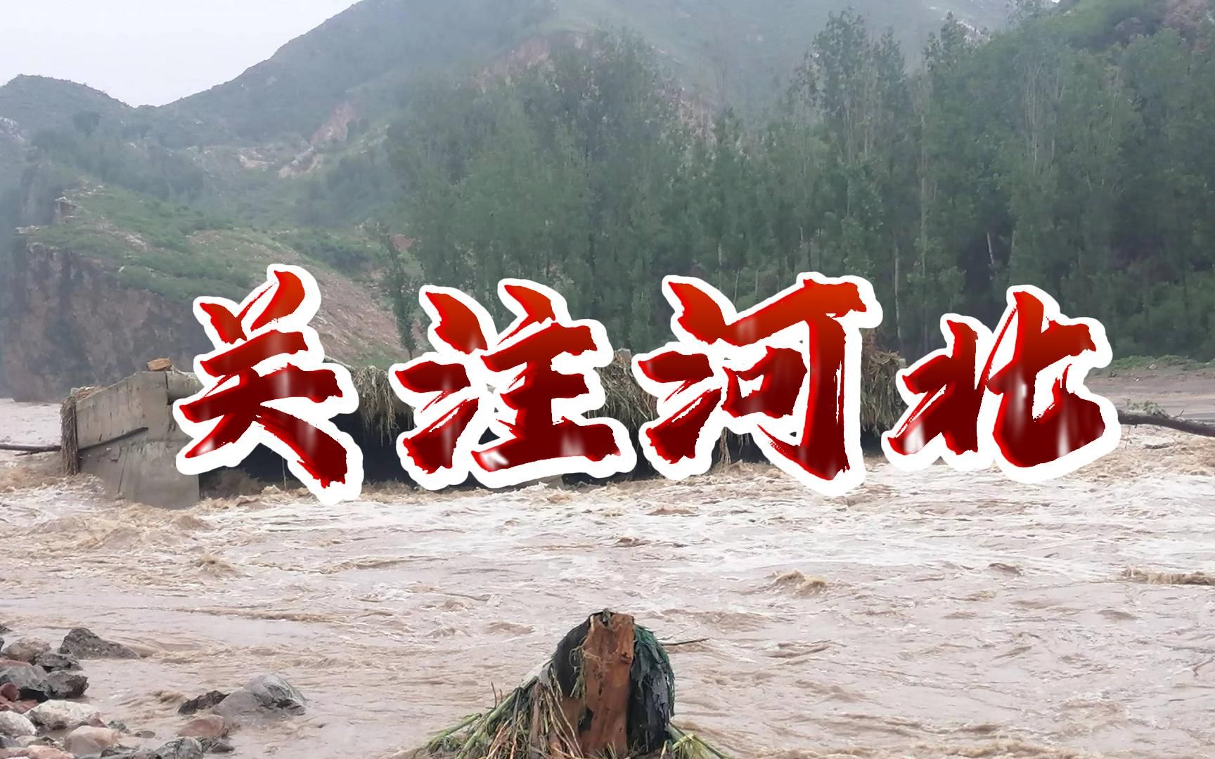 关注河北丨驰援暴雨洪灾地区哔哩哔哩bilibili