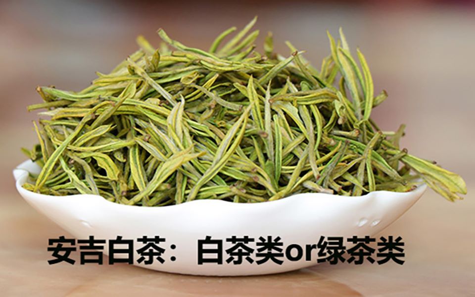 名叫白茶却属于绿茶类?安吉白茶,其实它白在这里.哔哩哔哩bilibili