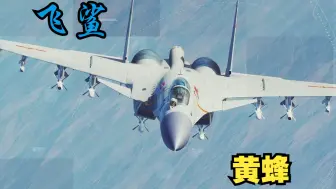 Download Video: 【DCS 熟肉】油管大神开歼15对F18，飒爽的视距内对决（正片2:41）