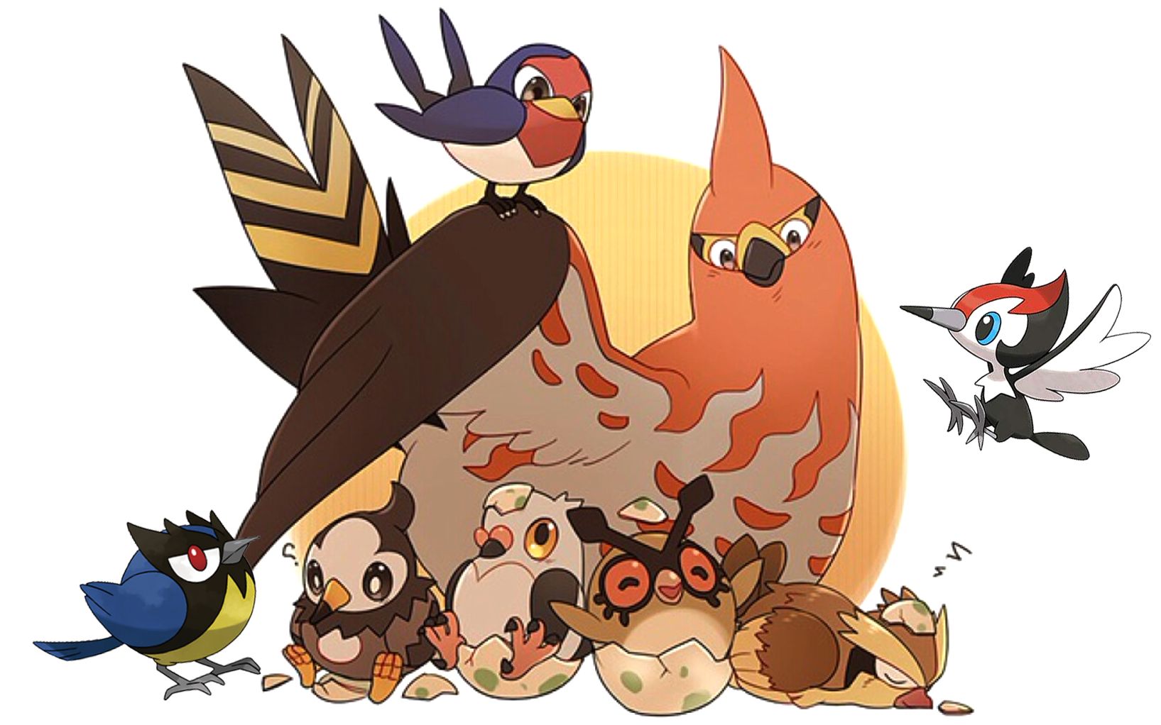 几乎集齐所有家门鸟的小智会在新世纪强强联手钢铠鸦吗