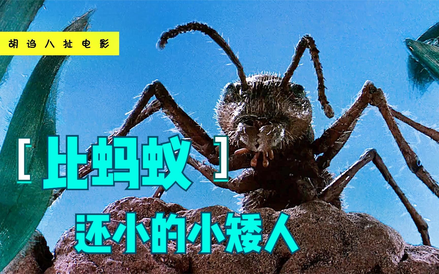 比蚂蚁还小的小矮人,竟联手打败了蝎子精