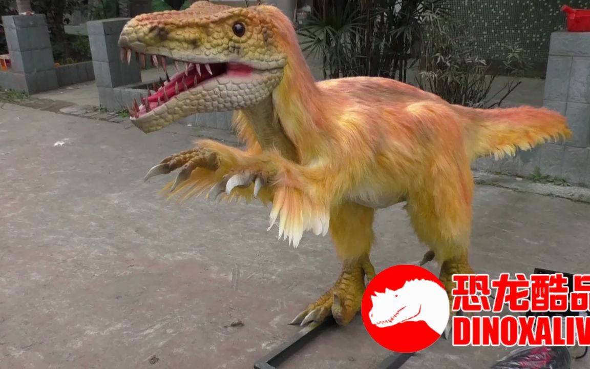 侏罗纪龙鸟模型 - 仿真斑比盗龙模型