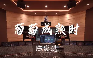 Descargar video: 在百万豪装录音棚大声听陈奕迅《葡萄成熟时》【Hi-res】