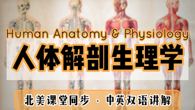合集500集全】医学英语人体解剖学和生理学_哔哩哔哩(゜-゜)つロ干杯 