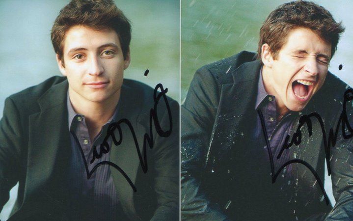 8acreativecatonbladeswithscottmoir