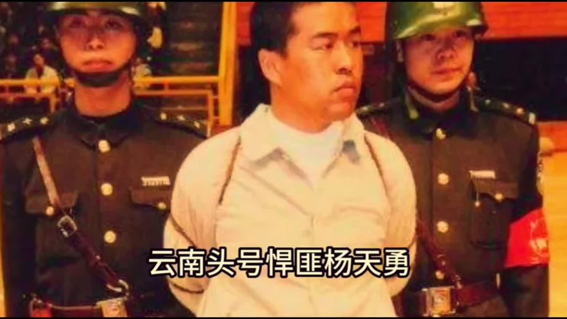 云南头号"悍匪杨天勇"#大案纪实 #细思极恐 #真实事件