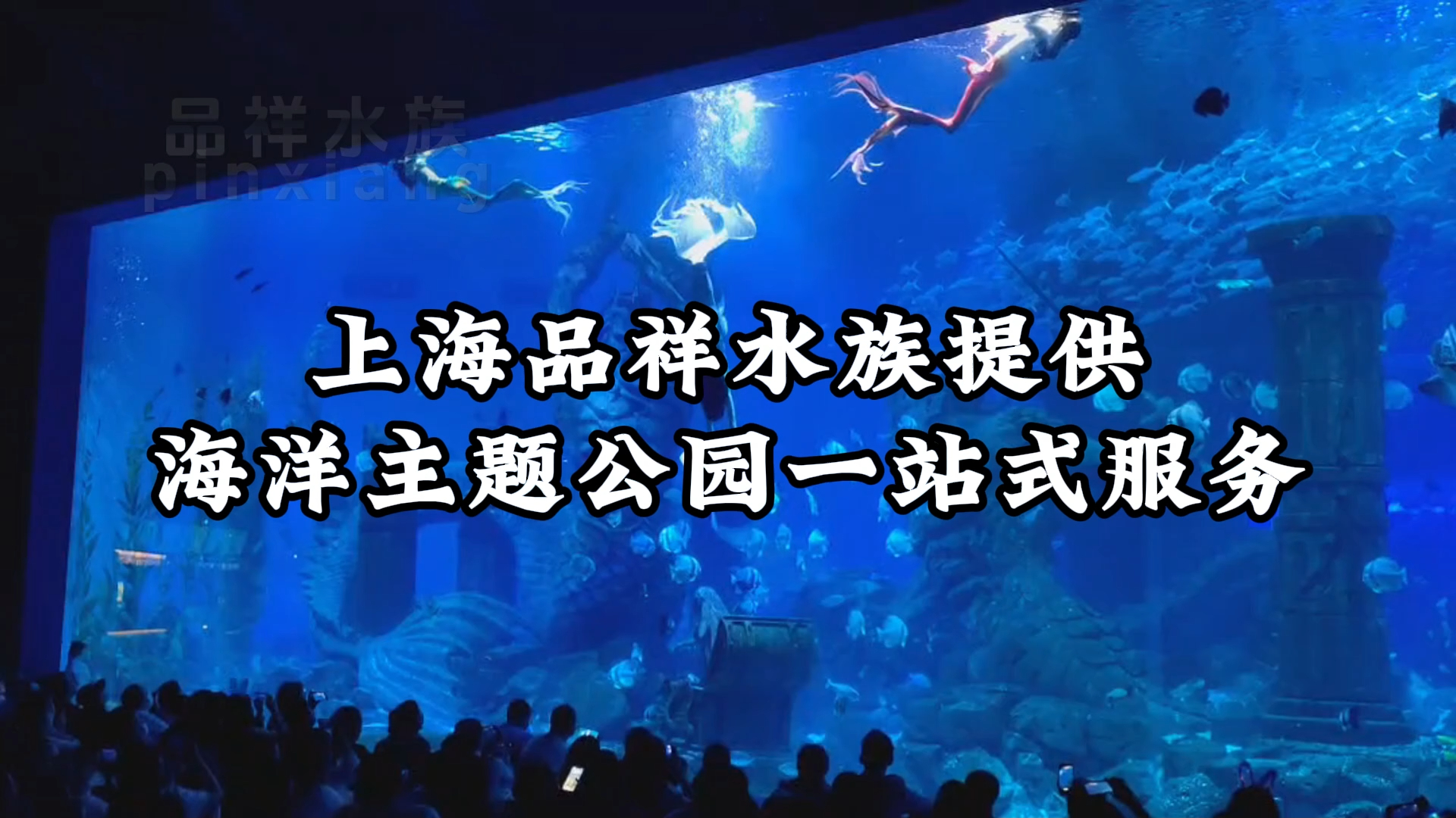 专注海洋馆主题公园设计方案.大型亚克力鱼缸定制