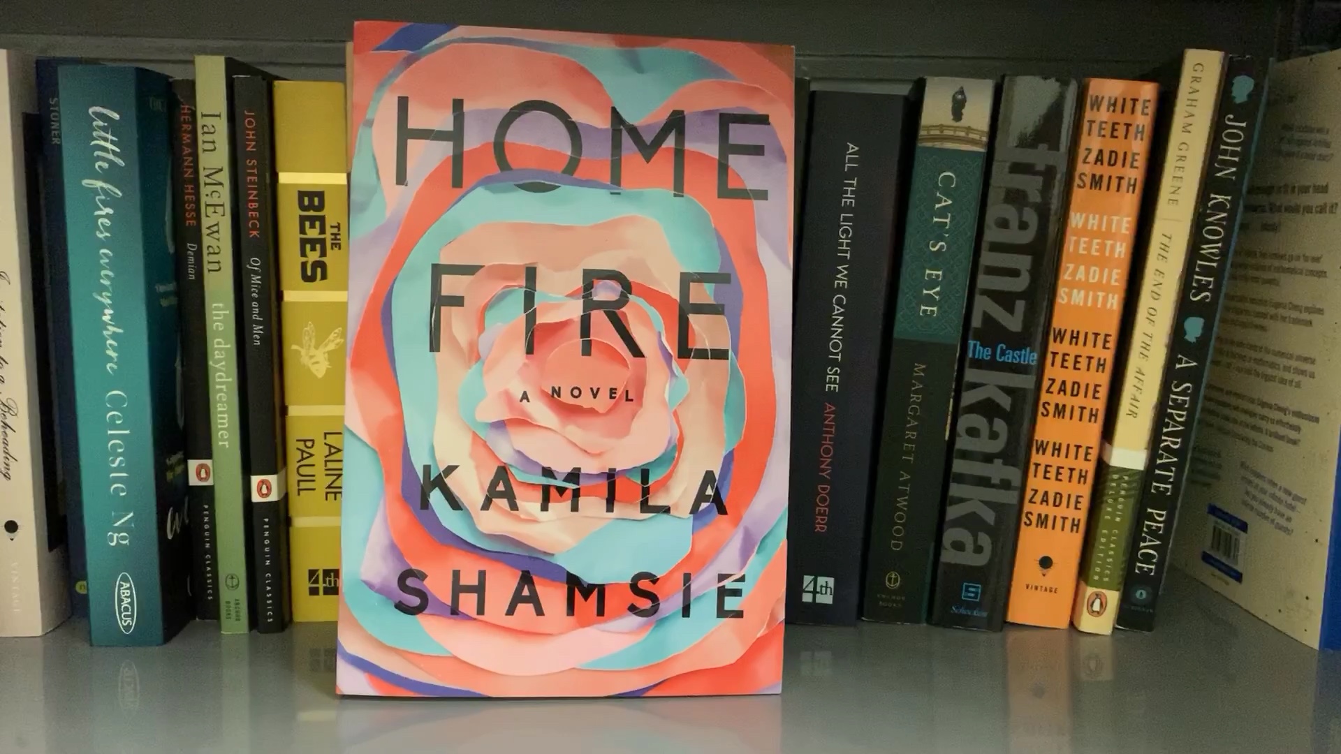 bookshelf tour—近500本英文书的书柜(下辑)