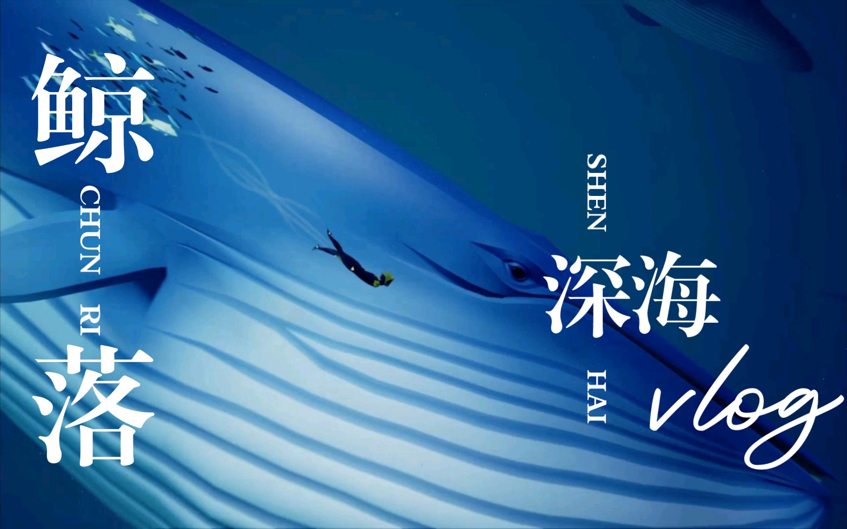 活动作品2k画质林深时见鹿海蓝时见鲸