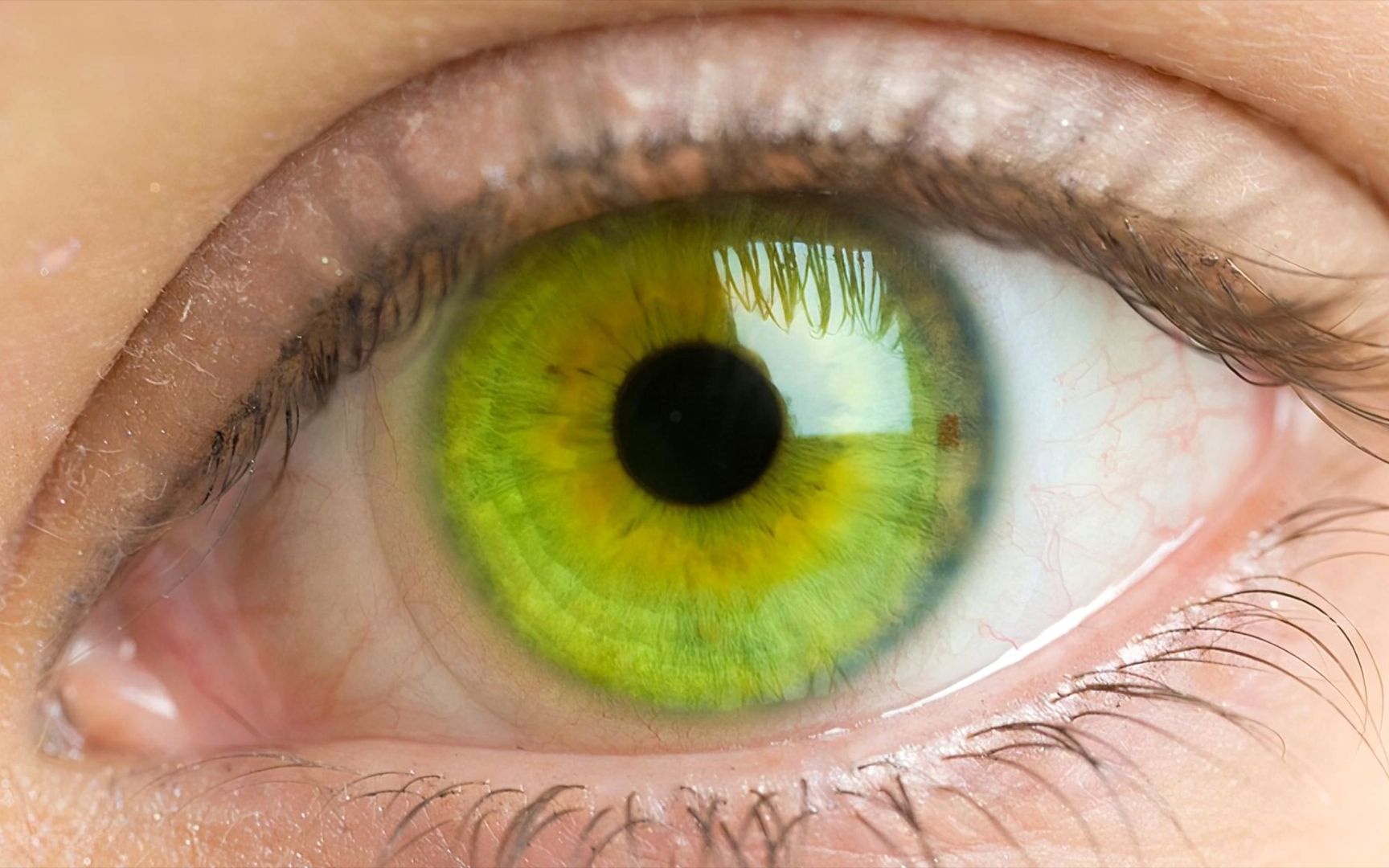 西女虹膜微距特写2