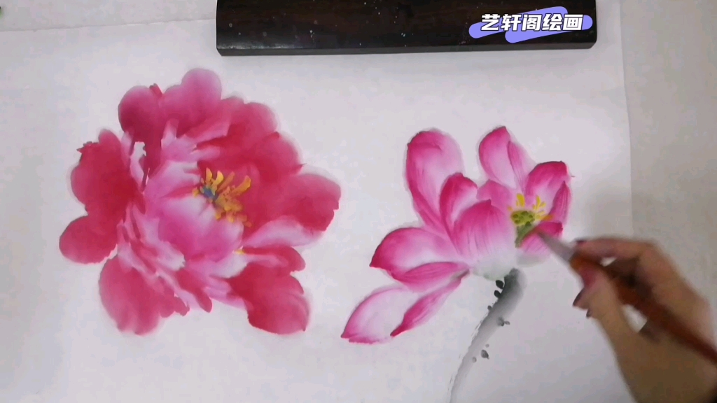 荷花的画法:笔法简单,易懂易学哦!哔哩哔哩bilibili