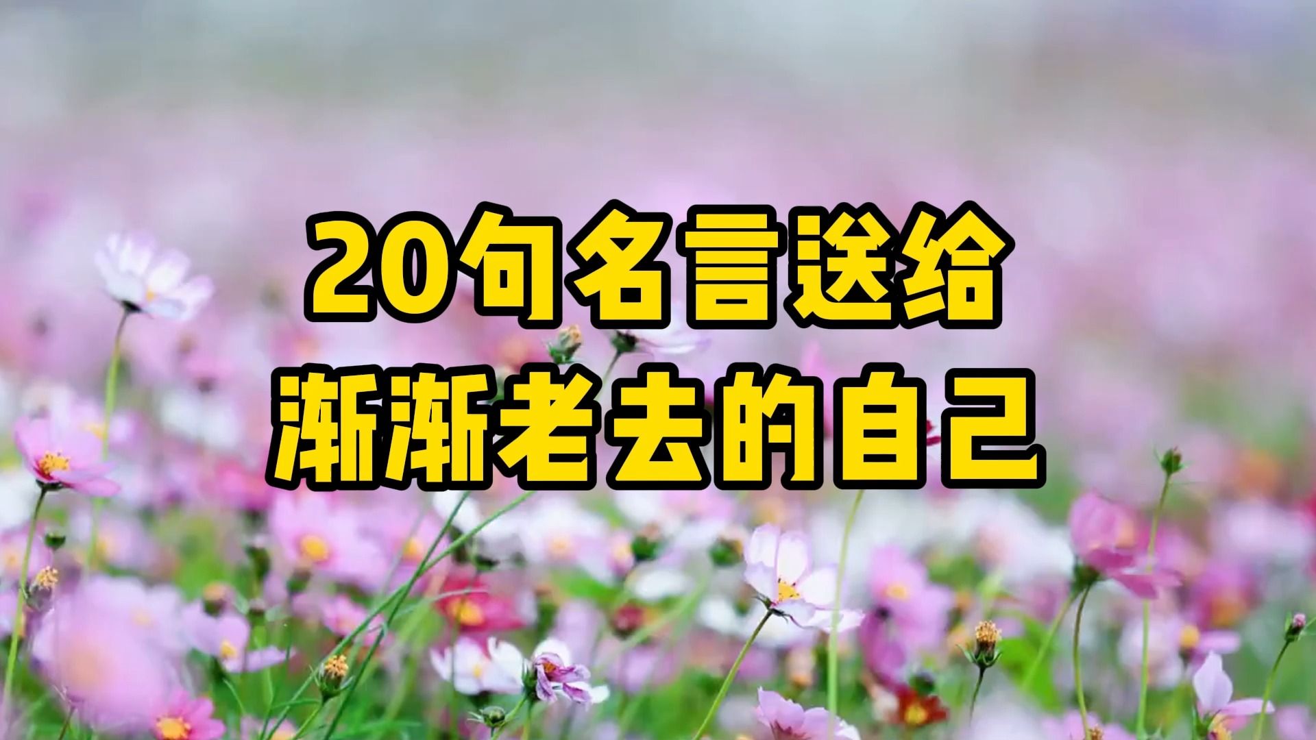 经典文章诵读,《二十句名言送给渐渐老去的自己》哔哩哔哩bilibili