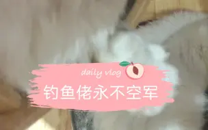 Tải video: 爪……爪爪