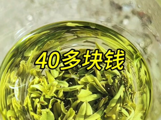 40多块钱一罐的桐城小花谷雨茶,实惠得很.哔哩哔哩bilibili