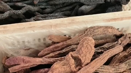 你需要的肉苁蓉