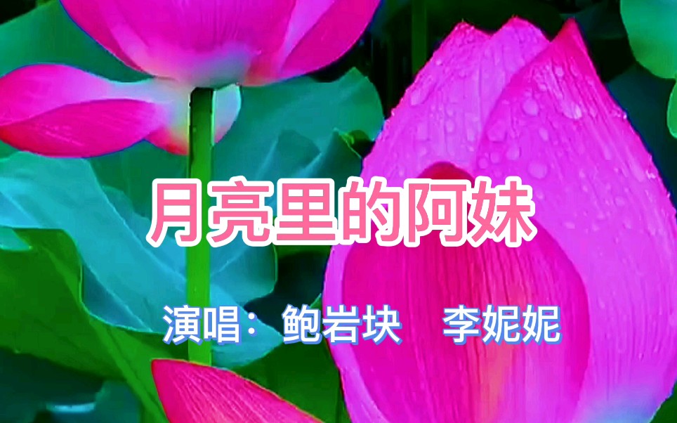 鲍岩块,李妮妮情歌对唱《月亮里的阿妹》,旋律优美,歌声悦耳,让心醉.