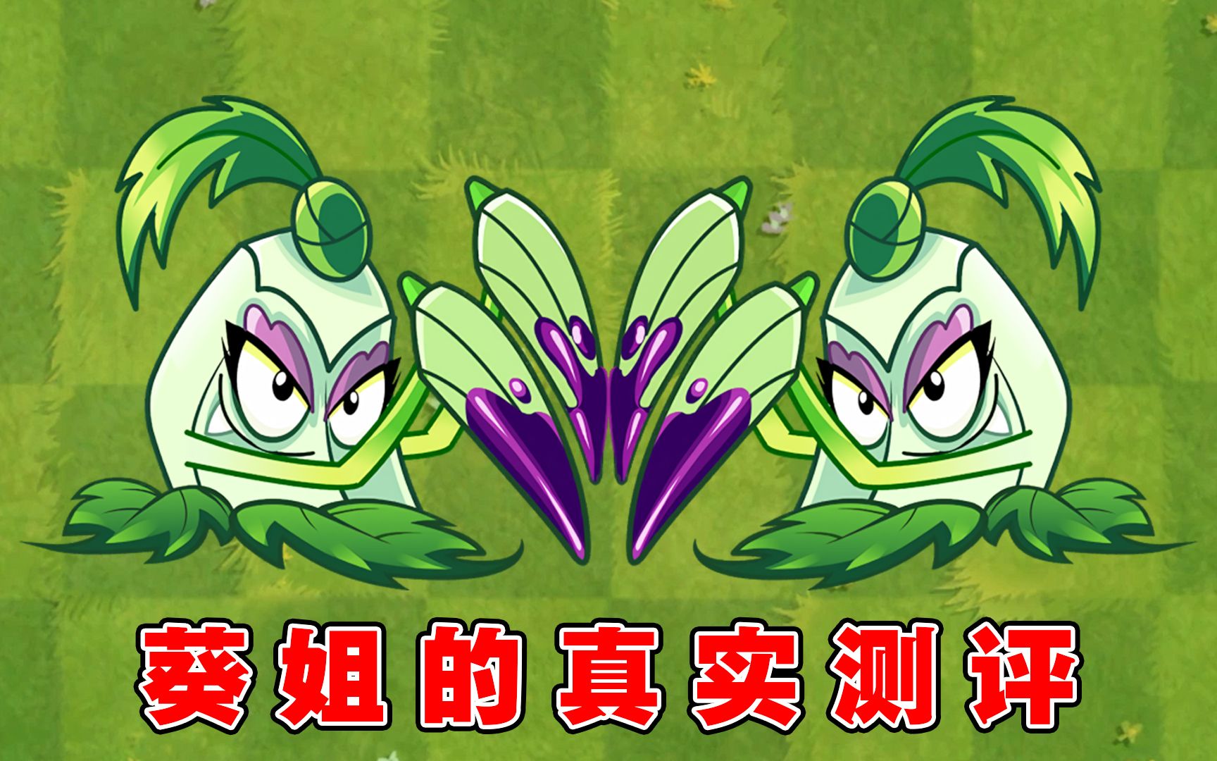 植物大战僵尸:女中豪杰尖刺秋葵1-5阶有何区别?