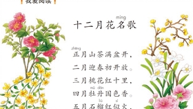 十二月花名歌 你们听到哪些花朵名字了 哔哩哔哩 つロ干杯 Bilibili