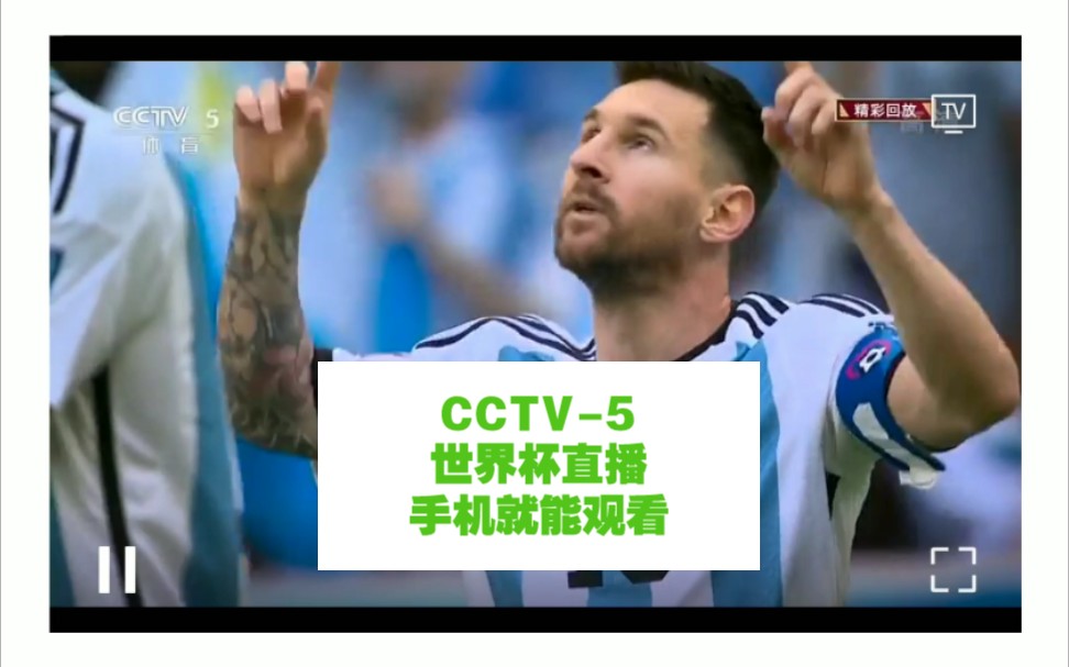 在手机上看CCTV5体育频道直播,观看世界杯的体验很棒!哔哩哔哩bilibili