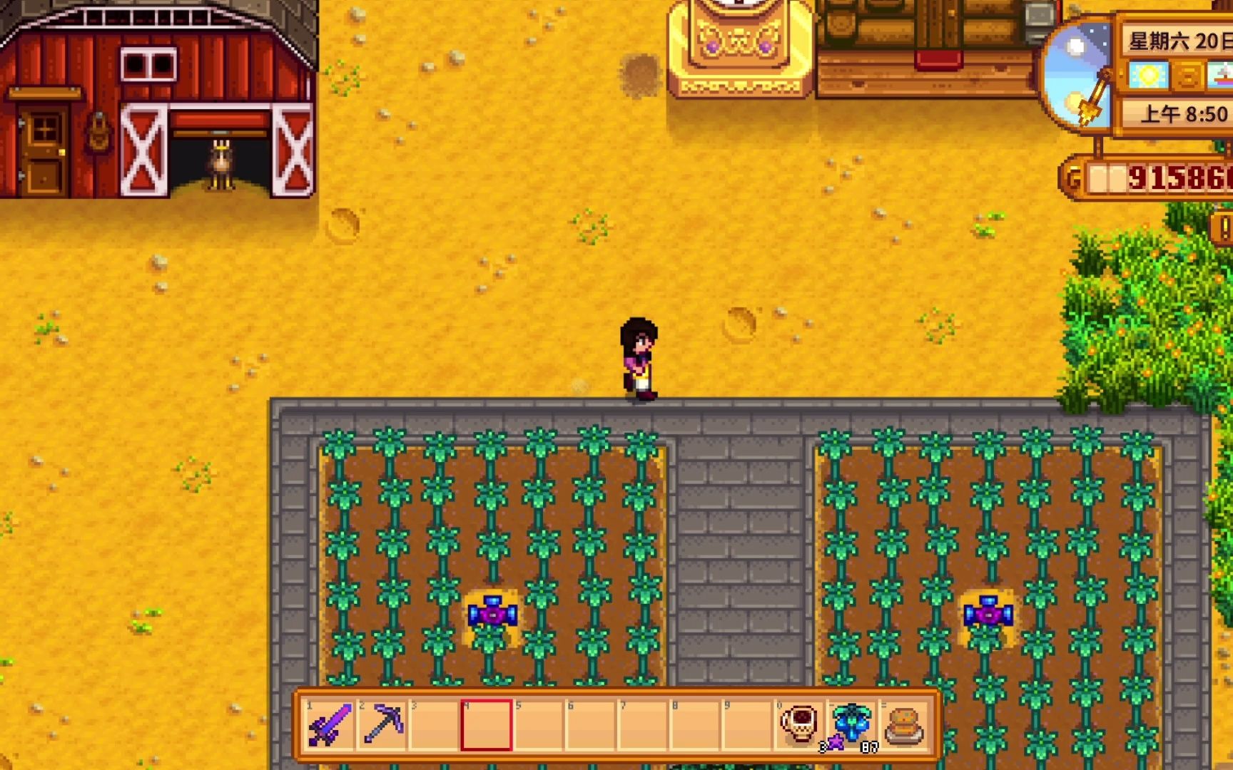 星露谷物语sve 第三年夏20-21