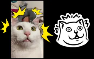 我的猫是表情包 搜索结果 哔哩哔哩 Bilibili 我的猫是表情包 搜索结果 哔哩哔哩 Bilibili