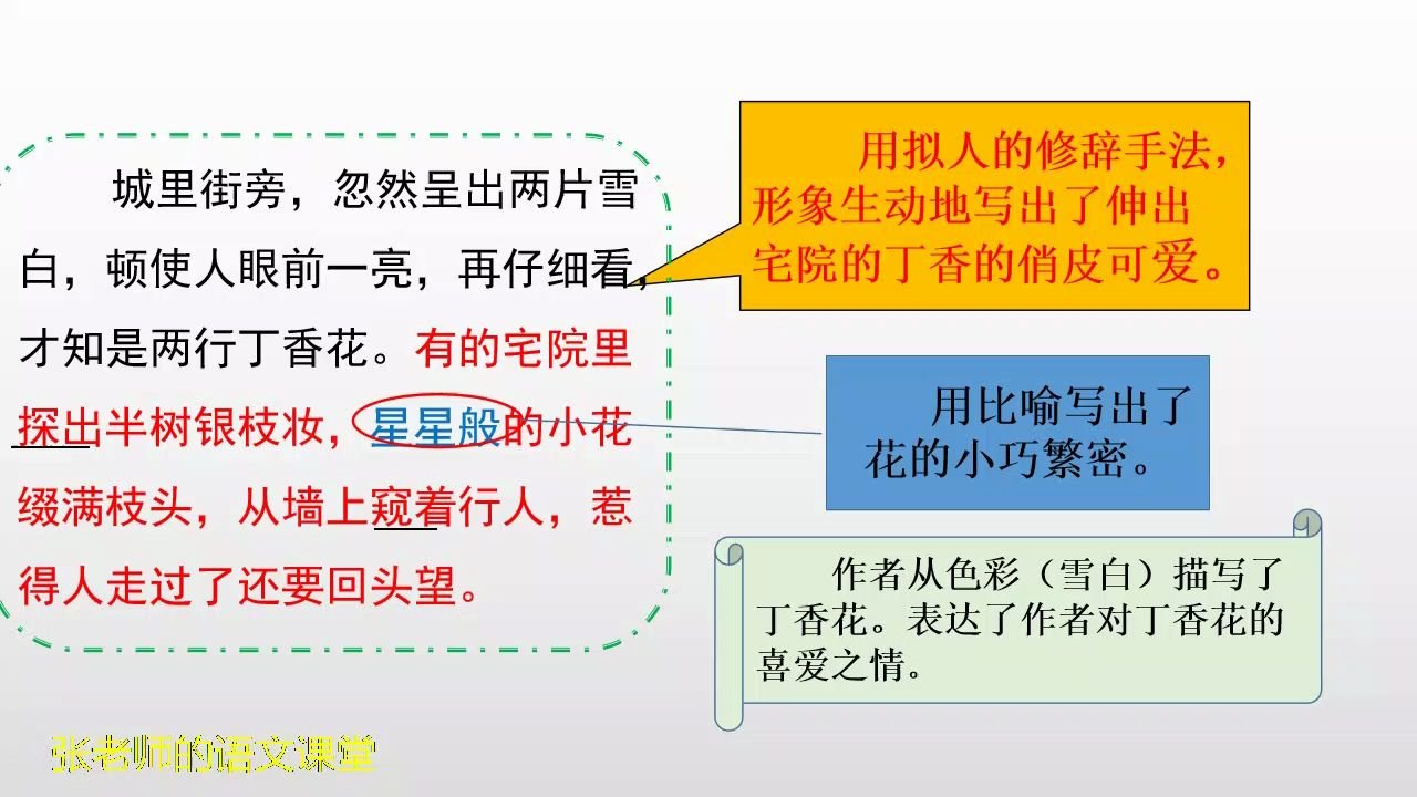 六年级上《丁香结》,古人词云芭蕉不展丁香结,丁香空结雨中愁哔哩哔哩bilibili