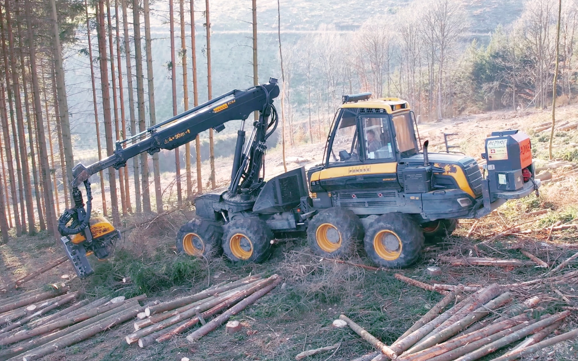 国产自动伐木机图片