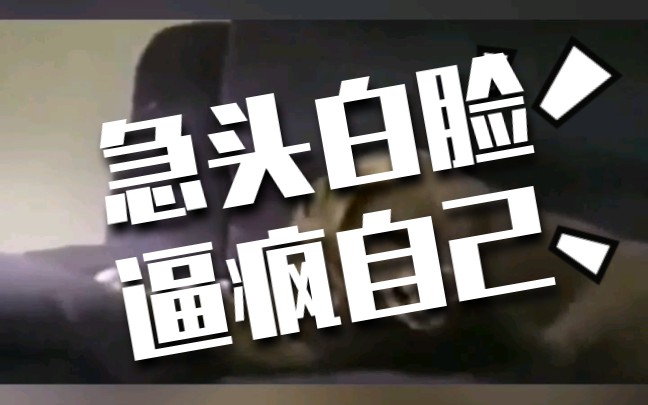 急头白脸的把自己逼疯是什么节奏?