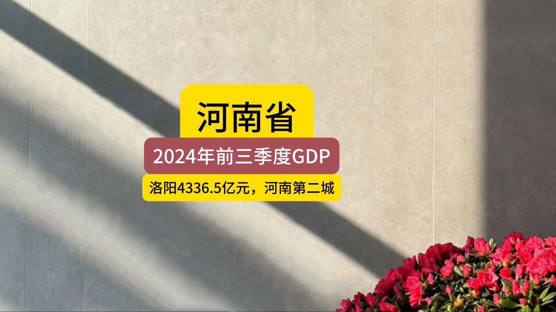 洛阳2024年前三季度GDP,持续稳步增长哔哩哔哩bilibili