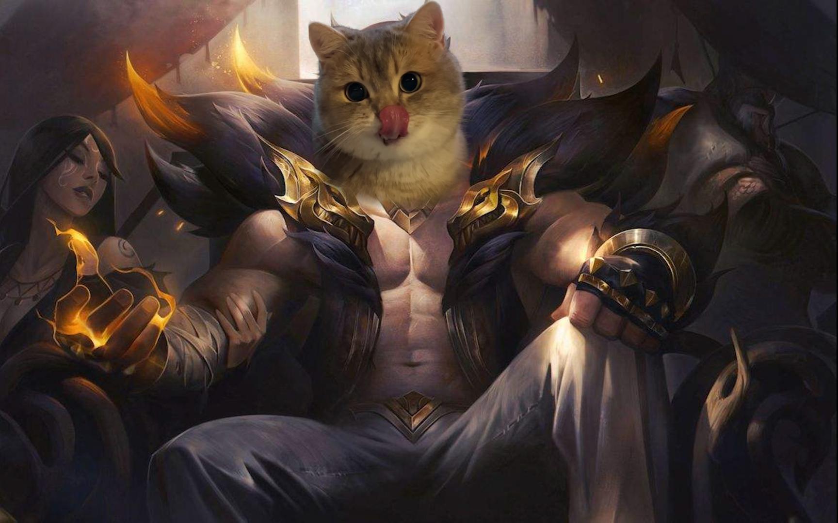 温稚丨腕豪:ew,bangbang两拳