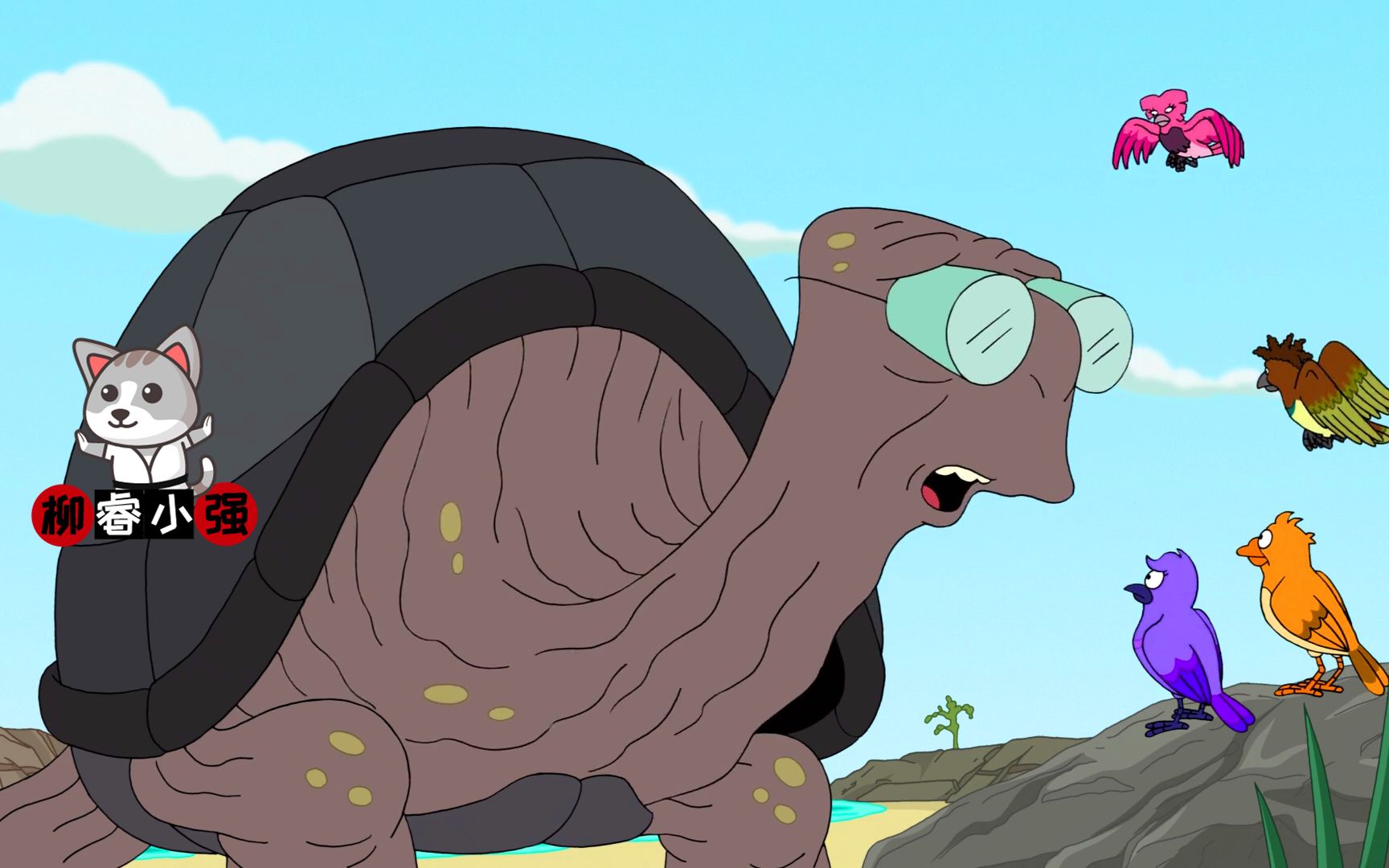 飞出个未来第七季之象龟篇一只为了种族繁衍而不谈感情的象龟
