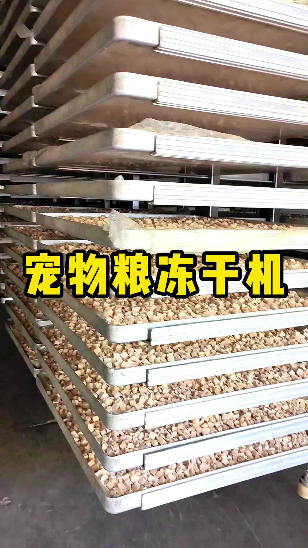 科盛宠物粮冻干机,宠物食品冻干机设备,冻干速度快,效果好,节能环保