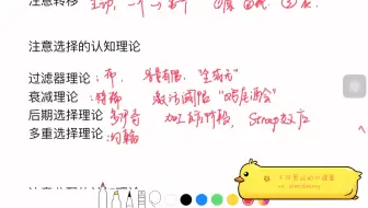 【甄甄心理学】心理学考研/带背书/普通心理学—注意