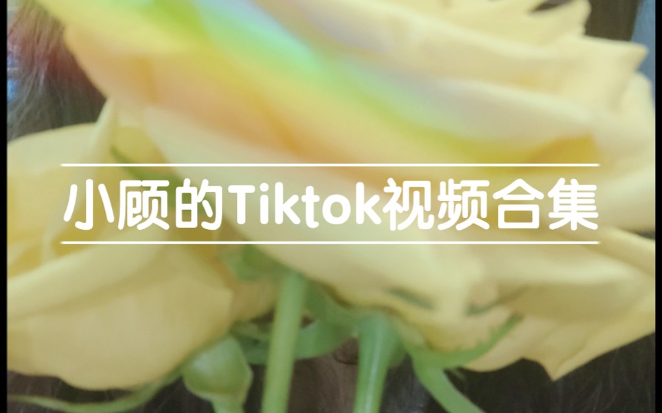 【视频合集】关于小顾的tiktok视频合集哔哩哔哩bilibili