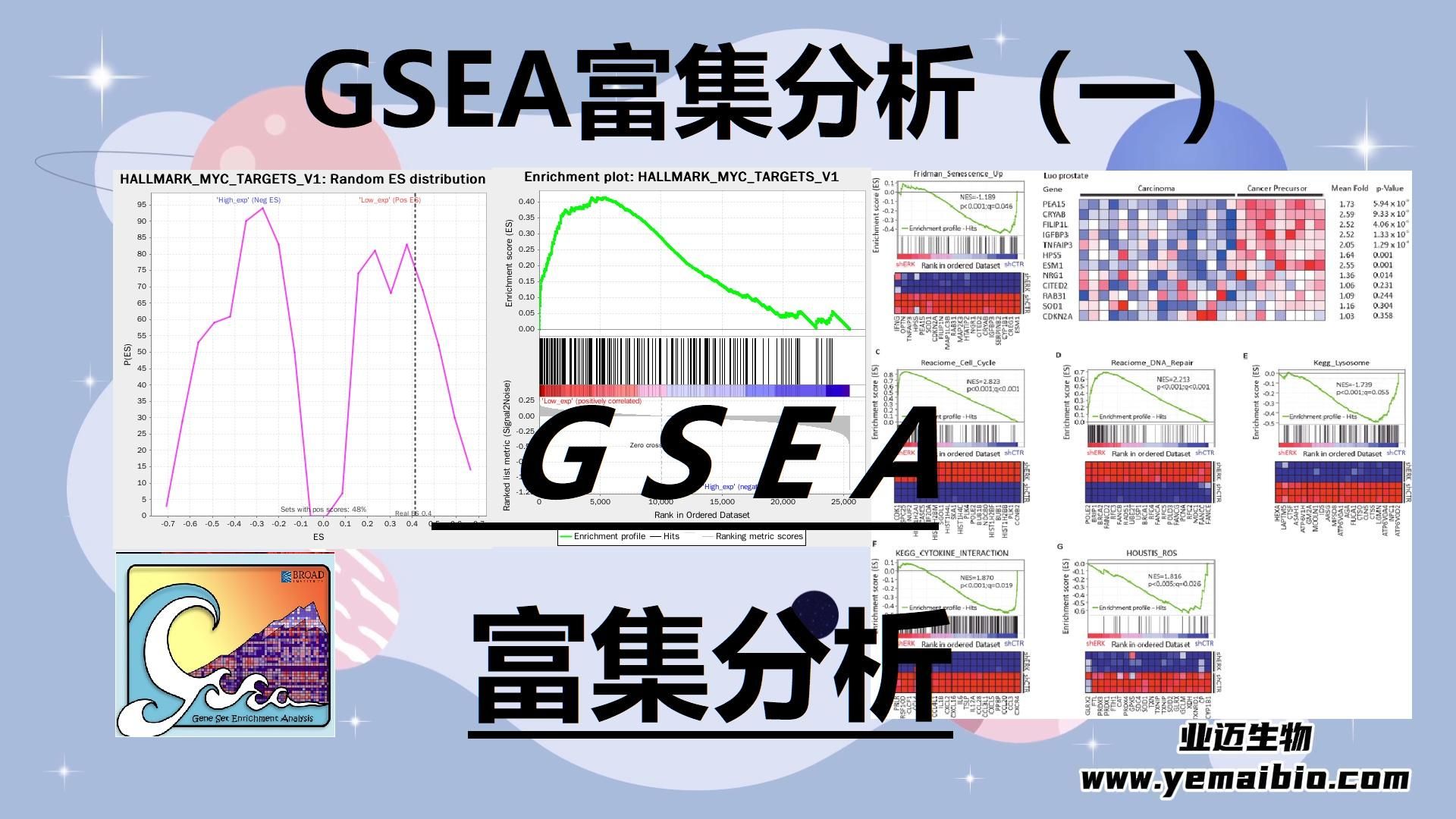 GSEA富集分析(一)哔哩哔哩bilibili