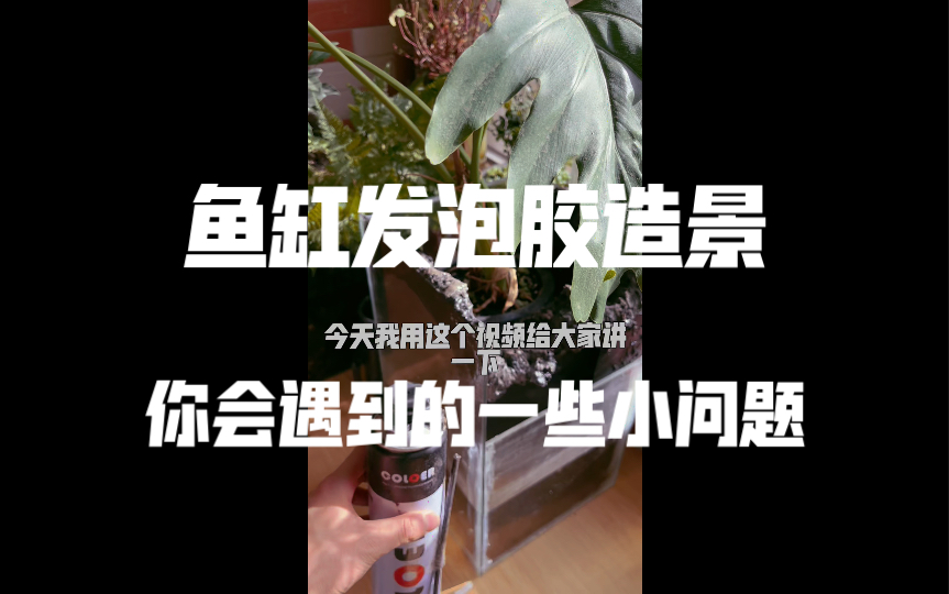 【干货分享】鱼缸发泡胶造景,你会遇到的一些小问题哔哩哔哩bilibili