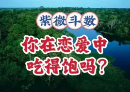 下载视频: 你在感情中吃得饱吗？紫微斗数与八字案例讲解。天相，天同天梁，廉贞贪狼，破军天府七杀，太阳太阴天机巨门。