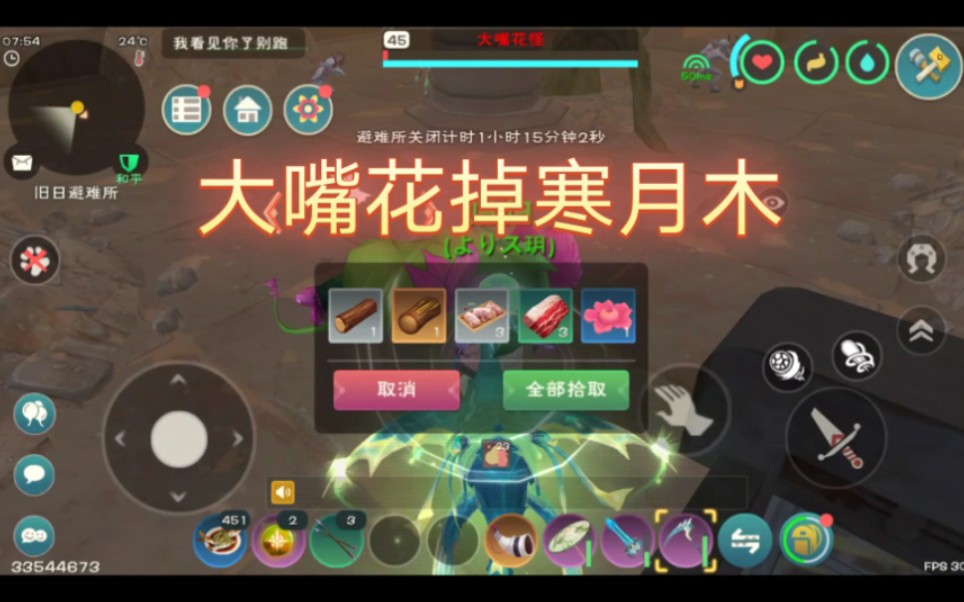 创造与魔法罕见肉图片